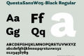 QuestaSansW05-Black