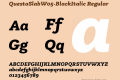 QuestaSlabW05-BlackItalic