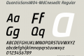 QuantisSansW04-MdCnesedIt