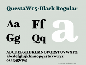 QuestaW05-Black