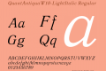 QuantAntiquaW10-LightItalic