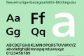 NeueFrutigerGeorgianW05-Md