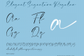 Elegant Signature