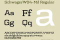 SchwagerW04-Md