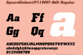 SquareSlabserif711W07-BdIt