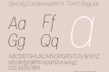 SpecifyCondensedW01-ThinIt