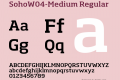 SohoW04-Medium