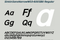 SinkinSansNarrowW03-600SBIt