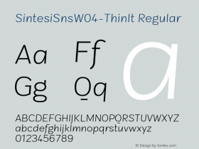 SintesiSnsW04-ThinIt