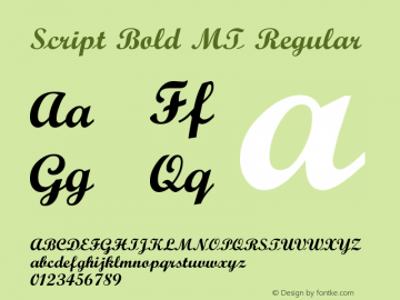 Script Bold MT