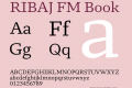 RIBAJ FM