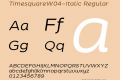 TimesquareW04-Italic