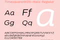 TimesquareW05-Italic