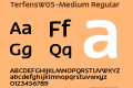 TerfensW05-Medium