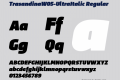 TrasandinaW05-UltraItalic