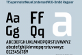 TTSupermolotNeueCondensedW10-DmBd