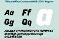 TTRoundsNeueCondensedW05-XBdIt