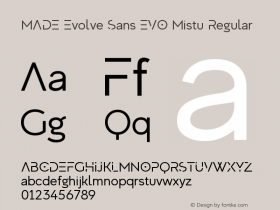 MADE Evolve Sans EVO Mistu