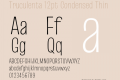 Truculenta 12pt Condensed