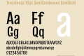 Truculenta 16pt SemiCondensed