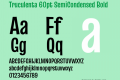 Truculenta 60pt SemiCondensed