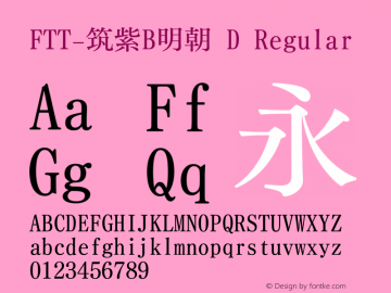 FTT-筑紫B明朝 D