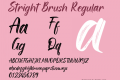 Stright Brush