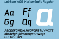 LabSansW05-MediumItalic