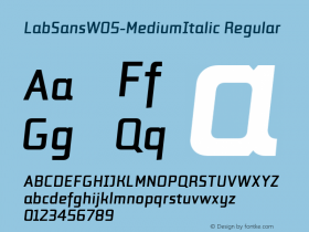 LabSansW05-MediumItalic