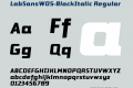 LabSansW05-BlackItalic