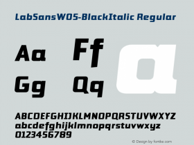 LabSansW05-BlackItalic