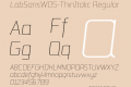 LabSansW05-ThinItalic