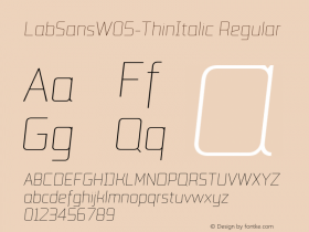 LabSansW05-ThinItalic