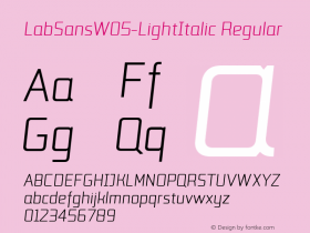 LabSansW05-LightItalic