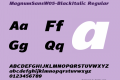 MagnumSansW05-BlackItalic