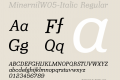 MinernilW05-Italic