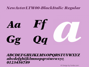 NewAsterLTW00-BlackItalic