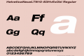 HelveticaNeueLTW10-83HvExObl