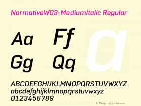 NormativeW03-MediumItalic