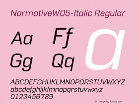 NormativeW05-Italic