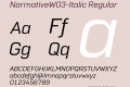 NormativeW03-Italic