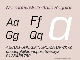 NormativeW03-Italic
