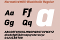 NormativeW05-BlackItalic