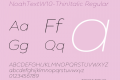 NoahTextW10-ThinItalic