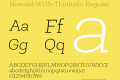 NewslabW05-ThinItalic