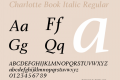 Charlotte Book Italic