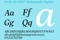 Really No 2 W27 MediumItalic