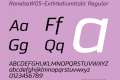 RanelteW05-ExtMediumItalic