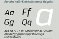 RanelteW03-ExtMediumItalic