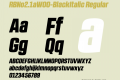 RBNo2.1aW00-BlackItalic